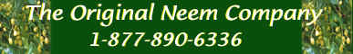 Neem from The Original Neem Company